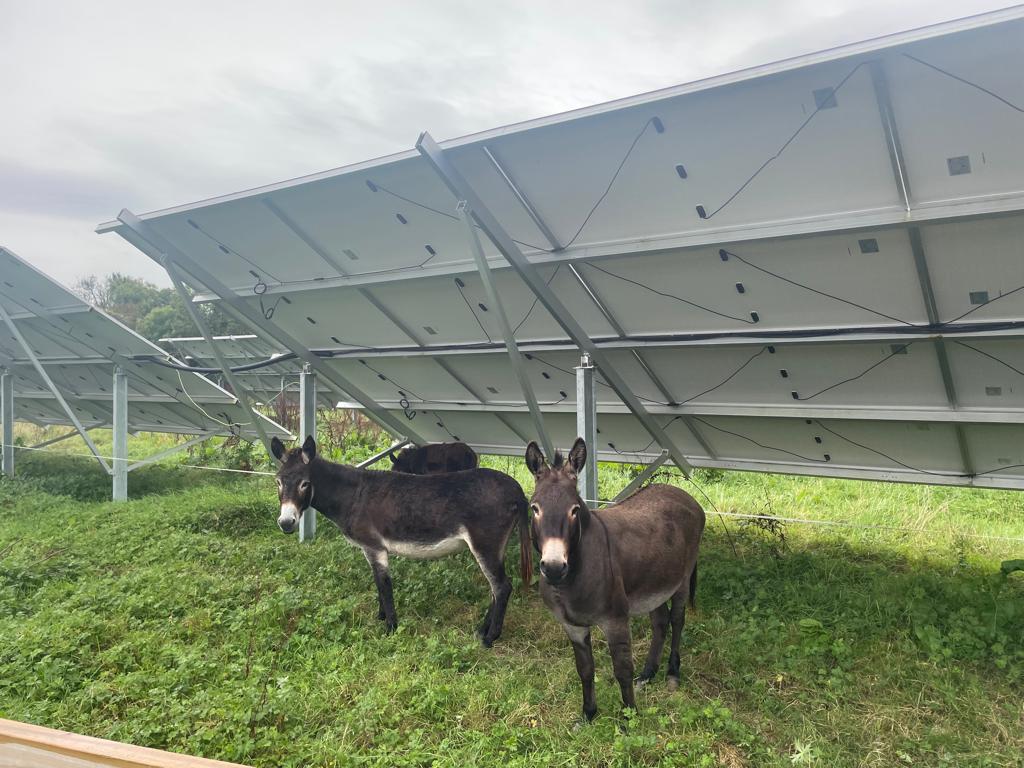 The Woodlands Hotel in Adare, showcasing its newly installed solar panels on the ground, contributing to sustainable energy practices and reducing its carbon footprint