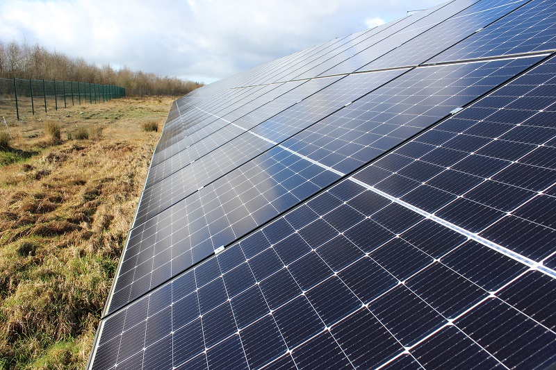 Wide view of a solar panel farm with rows of solar panels aligned in neat grids, reflecting sunlight under a clear blue sky