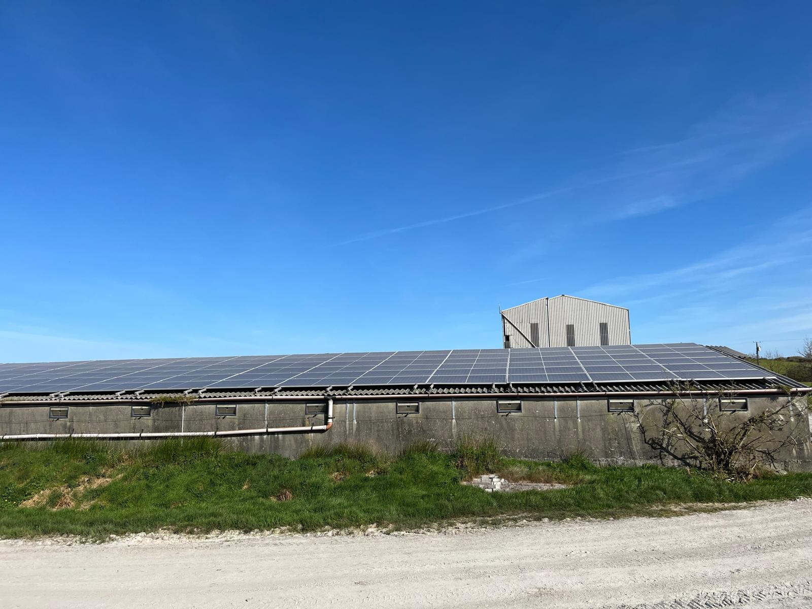 Solar photovoltaic (PV) panels installed on the roof of a piggery, generating renewable energy to power farm operations such as lighting, ventilation, and heating systems