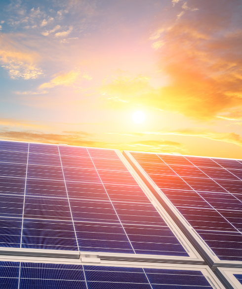 solar panels with sunshine behind them